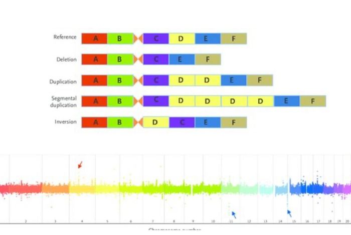 Third Generation Cytogenetic Analysis (TGCA): Potential Future Diagnostic Application of Long-Read Sequencing
