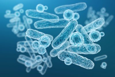 Image of mixed microorganisms