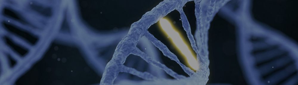 A 3D rendered depiction of a DNA strand with a base pair highlighted