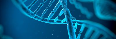 DNA
