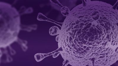 Pathogen surveillance