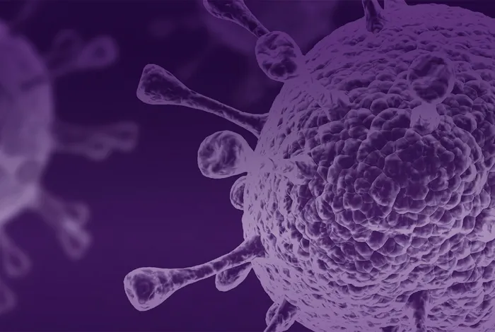 Portable in-field DNA sequencing for rapid detection of pathogens and antimicrobial resistance: a proof-of-concept study