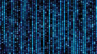 DNA sequence pattern