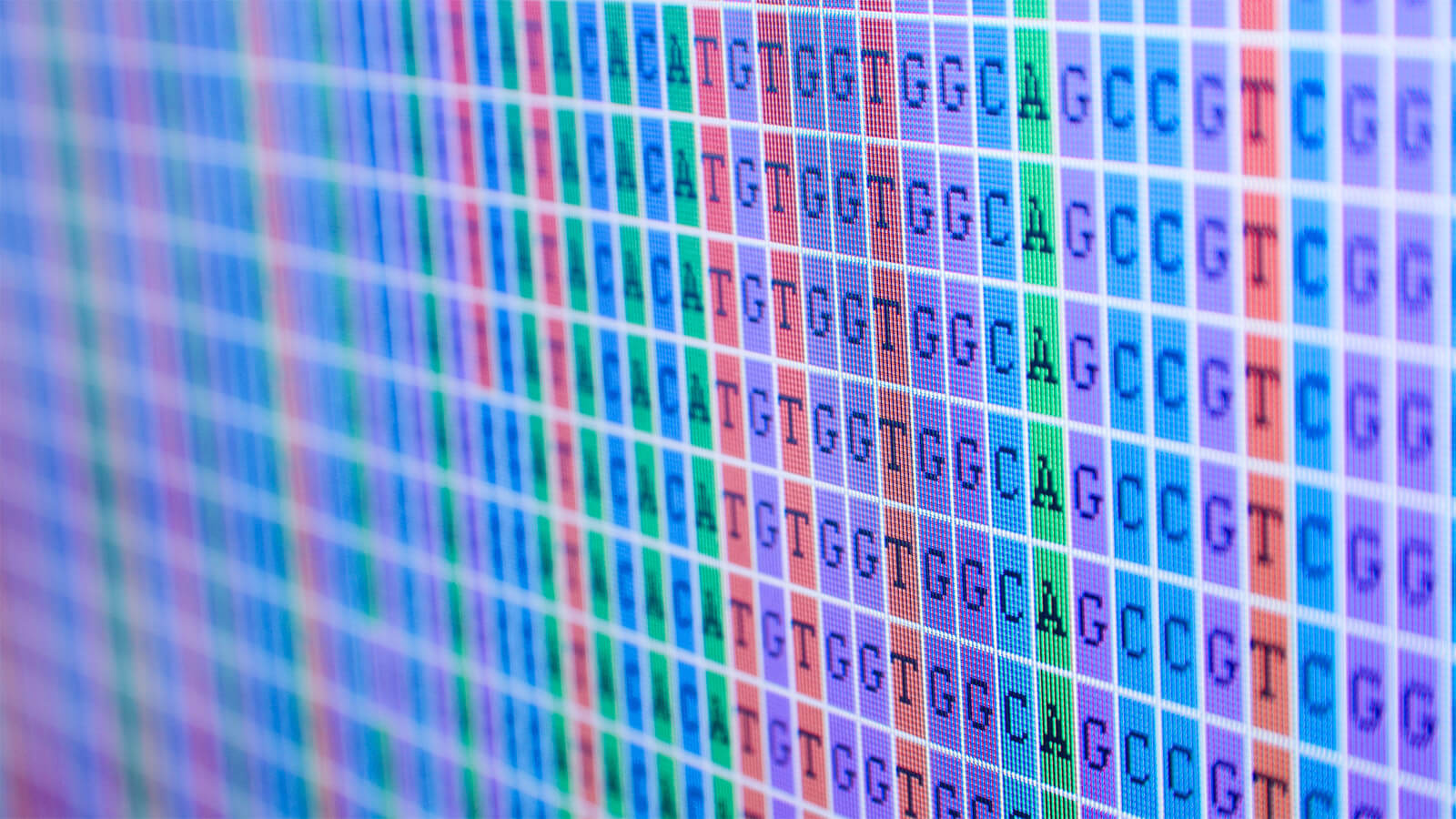 DNA Sequencing output