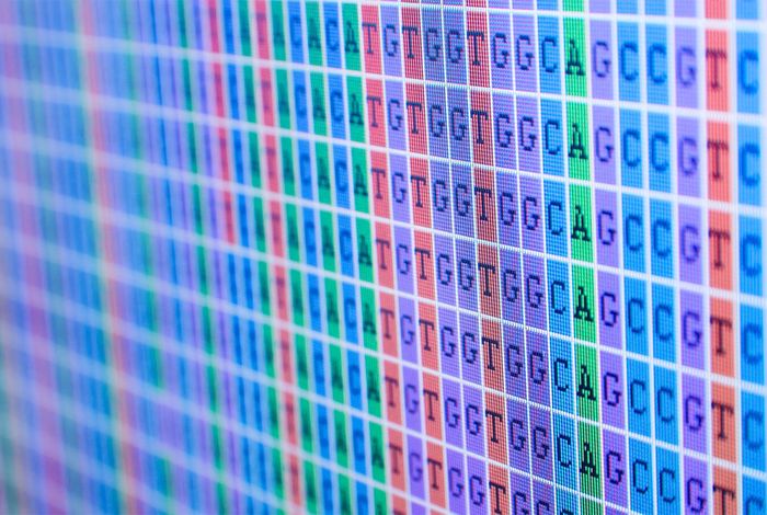 A familial, telomere-to-telomere reference for human de novo mutation and recombination from a four-generation pedigree