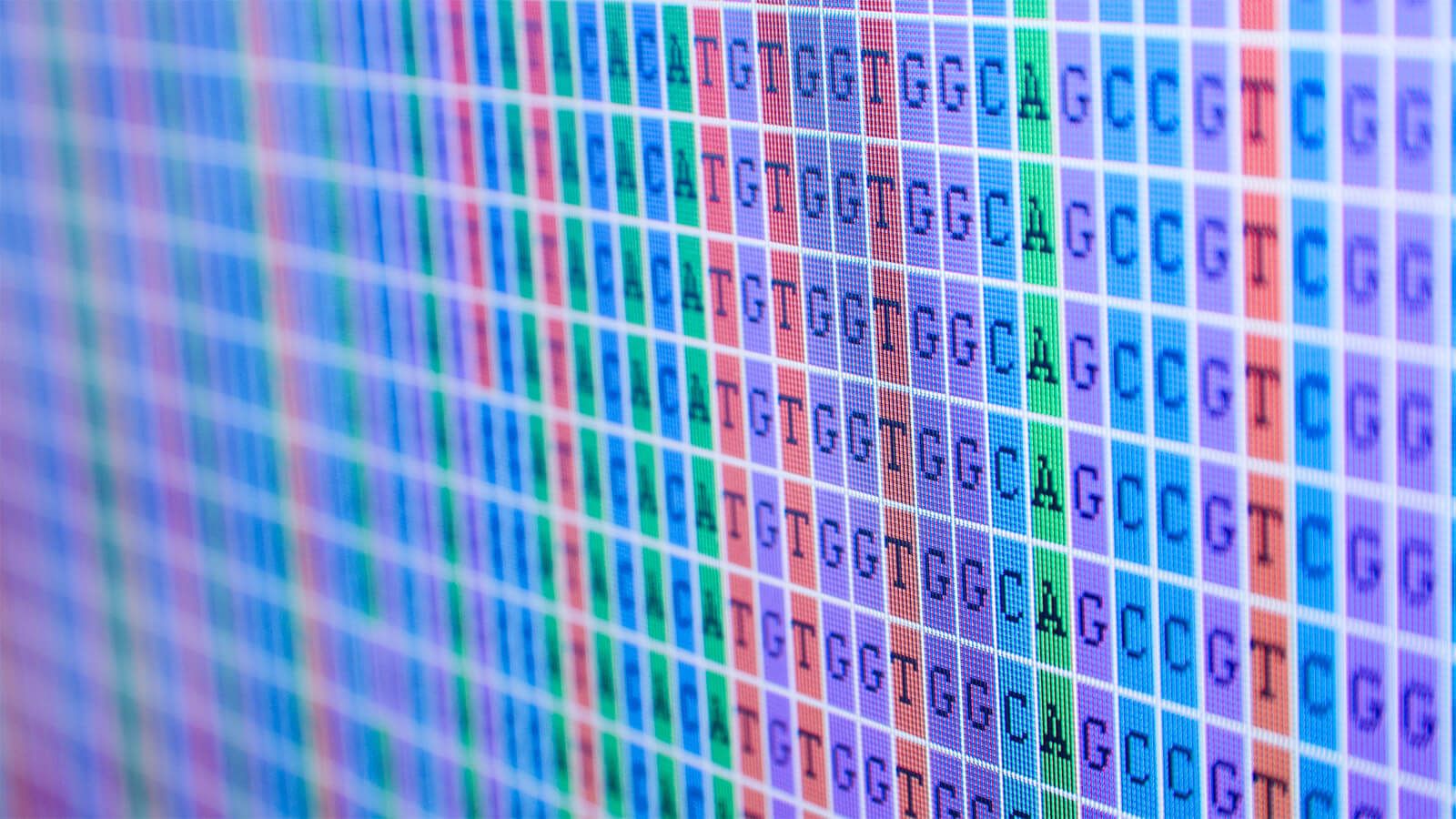 DNA Sequencing output