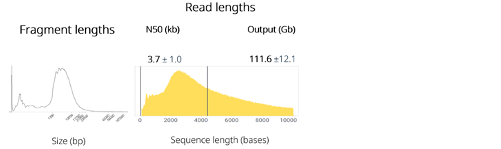 Figure 3 Maxwell