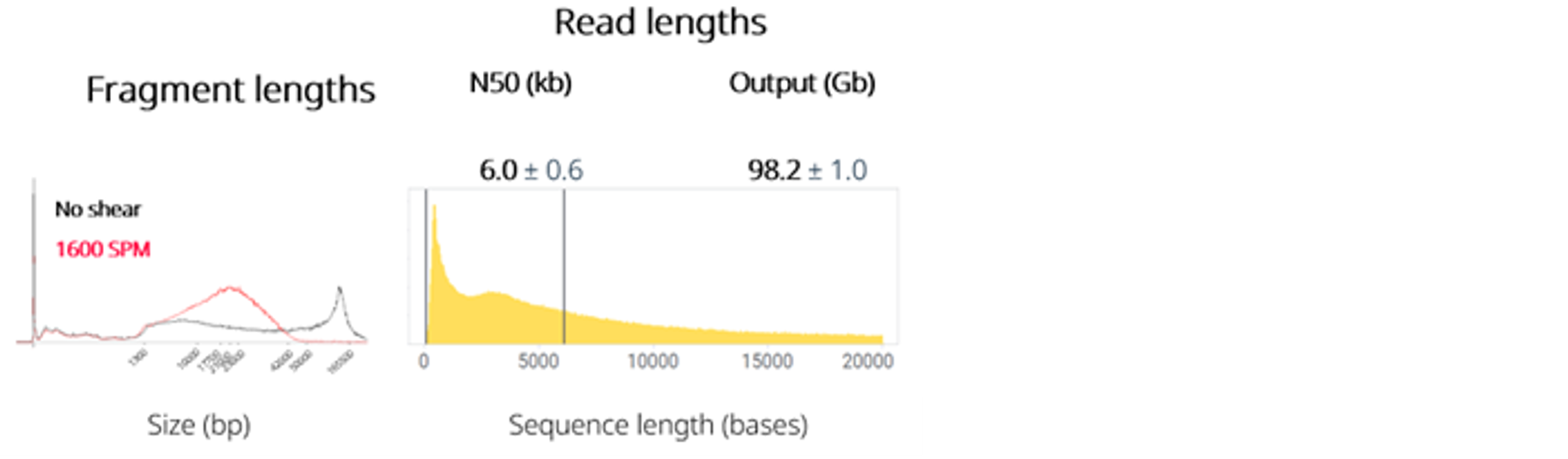 Figure 2 Maxwell