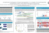 Image showing the poster titled A multi-omic investigation of gene dysregulation in a complex chromothripsis-like translocation event using Oxford Nanopore sequencing (ASHG 2025)