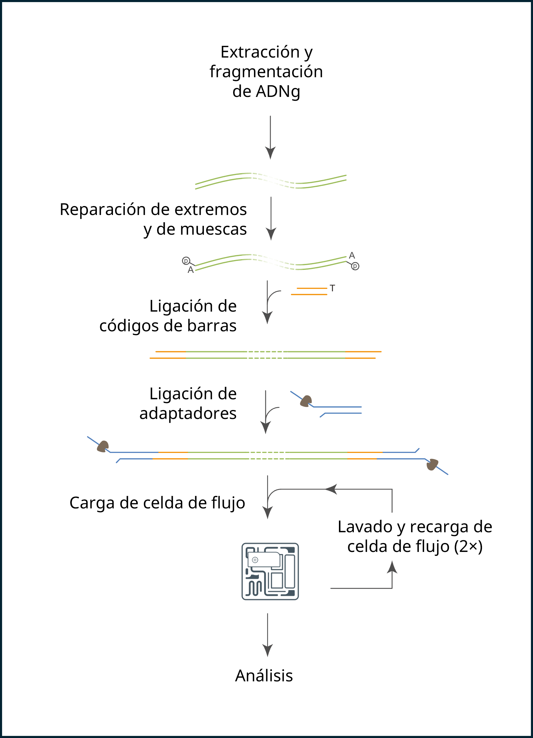 es-rrms-multiple-workflow-02