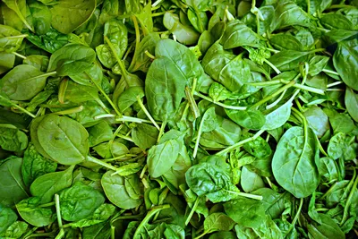 Green spinach pile