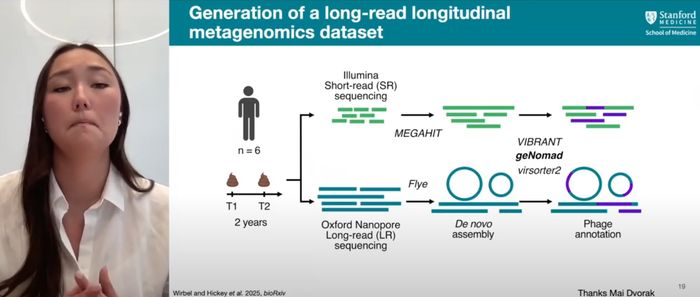 Uncovering gut prophage biology using long-read metagenomics