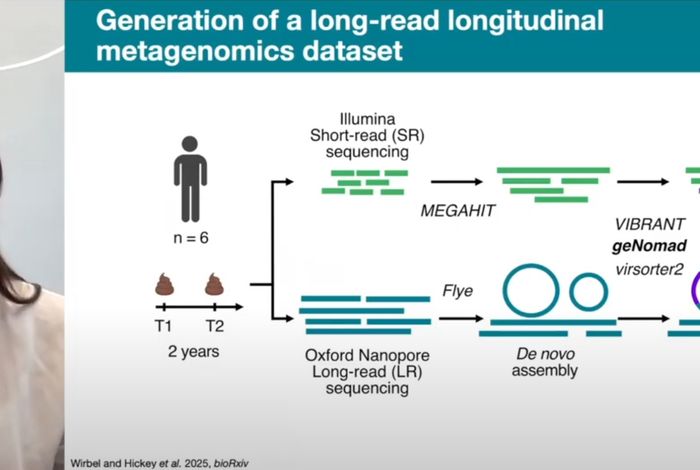 Uncovering gut prophage biology using long-read metagenomics