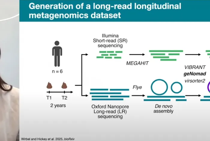 Uncovering gut prophage biology using long-read metagenomics