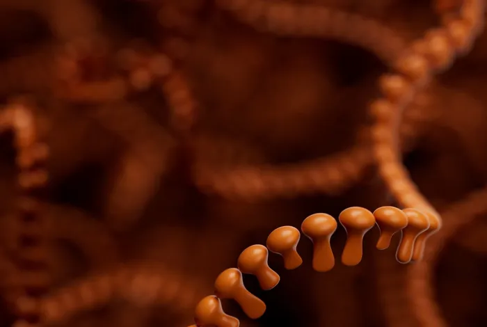 10 ways the Nanopore Community redefined genomics in 2024