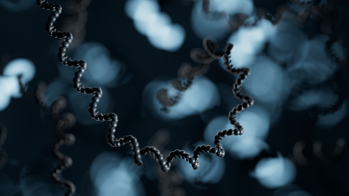 Long-read CaptureSeq identifies novel RNA isoforms of psychiatric risk genes