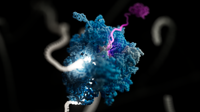 Multi-pass, single-molecule nanopore reading of long protein strands