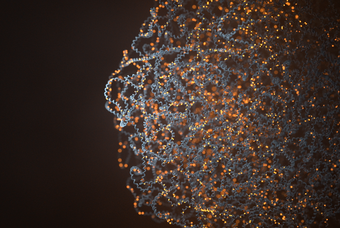 Oxford Nanopore methylation