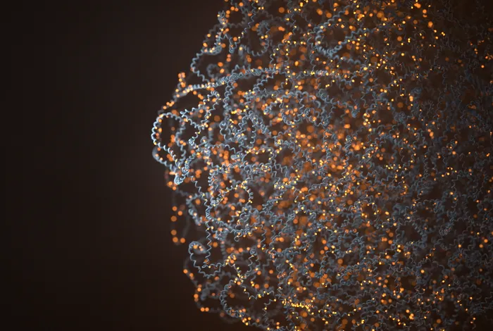 Science unlocked: publication picks from September 2025