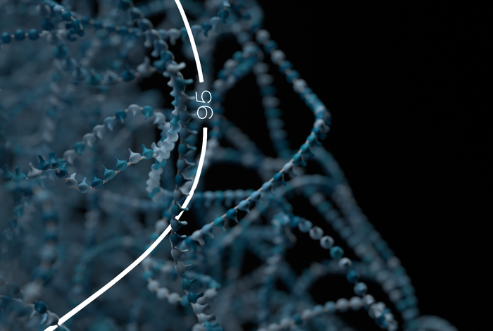 Structural variation image