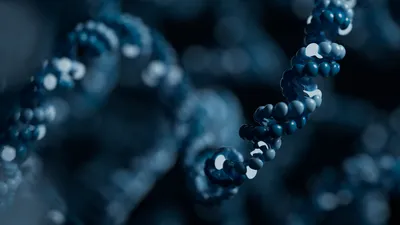 DNA long reads