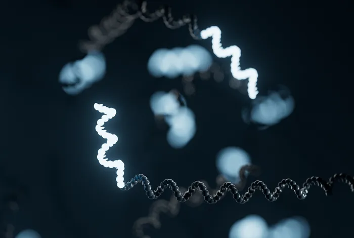 A compendium of human RNA structures and modifications