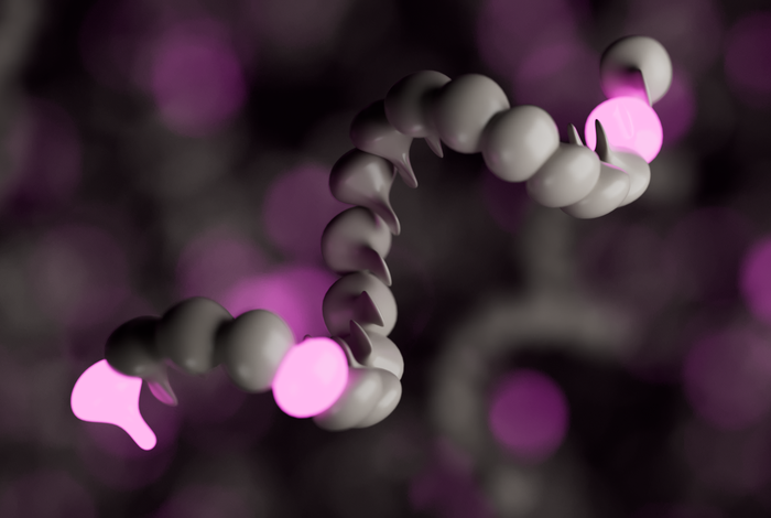 Whole-genome nanopore sequencing and automatic downstream analysis of respiratory syncytial virus using RSVTyper
