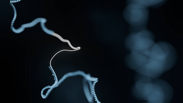 Webinar: Rapid, comprehensive AAV genomic profiling made simple