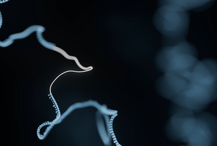 An unprecedented metagenomic landscape of European and North American coastal samples