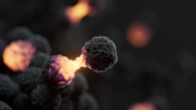 Visualisation of cancer cells dividing