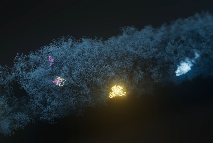 Rapid whole genome characterisation of antimicrobial-resistant pathogens using long-read sequencing to identify potential healthcare transmission