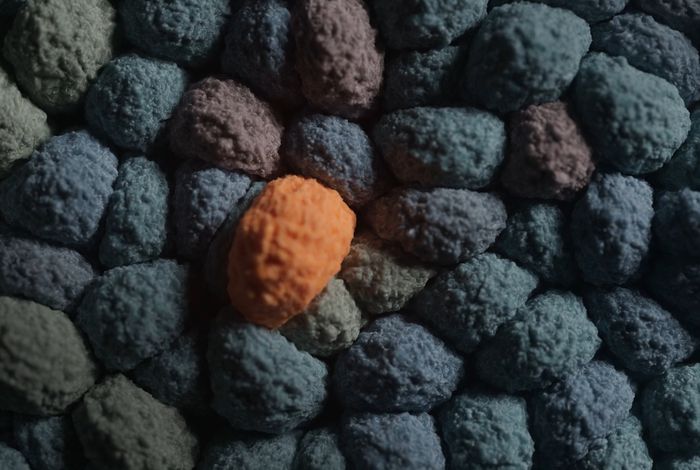 Single-cell transcriptome sequencing