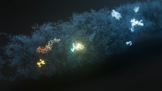 Oxford Nanopore microbial profiling