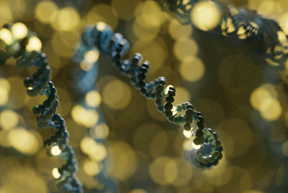 Visualisation of a DNA molecule with glowing yellow bases