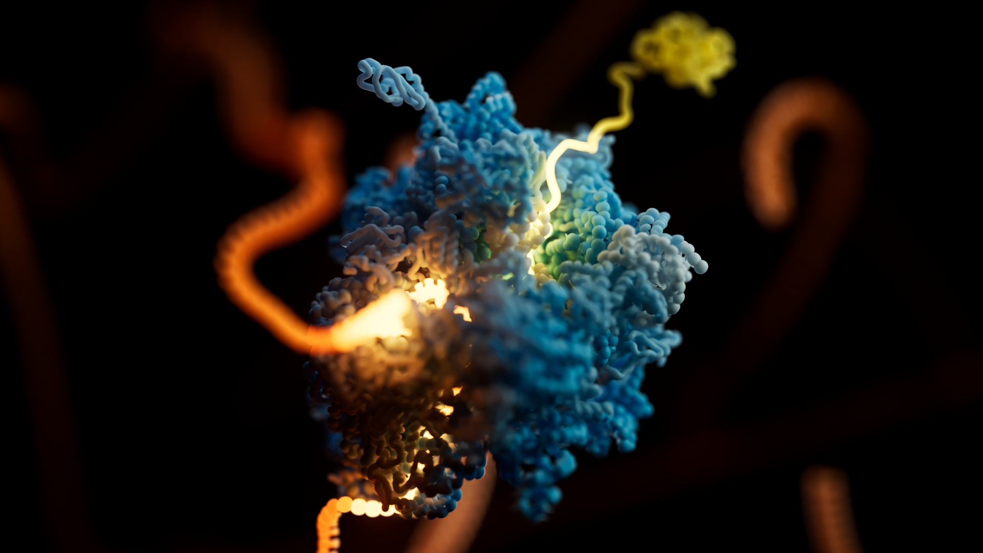 Oxford Nanopore Technologies Ribosome and mRNA