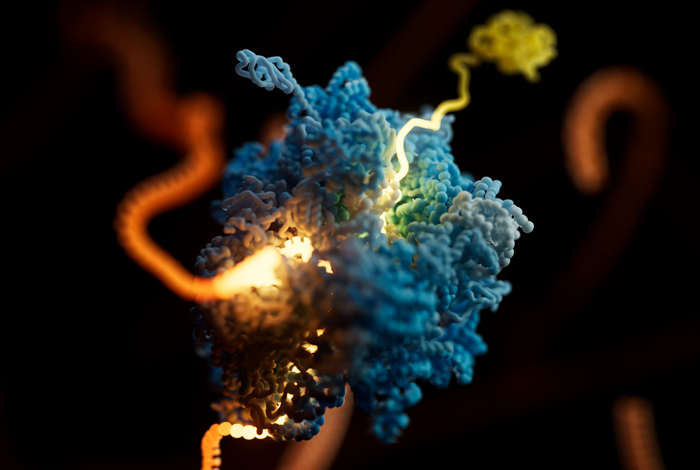 Oxford Nanopore Technologies Ribosome and mRNA