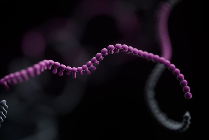 Long-read single-cell genome, transcriptome and open chromatin profiling links genotype to phenotypes