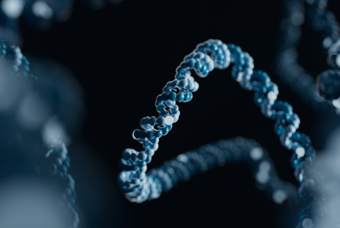 Dysregulation of viral and human genomes at HPV integration events