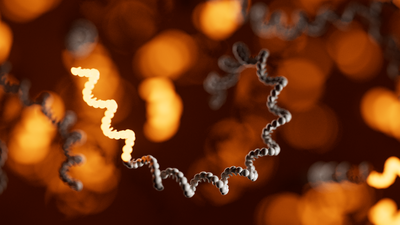 Animation of an RNA molecule with a glowing orange poly-A tail
