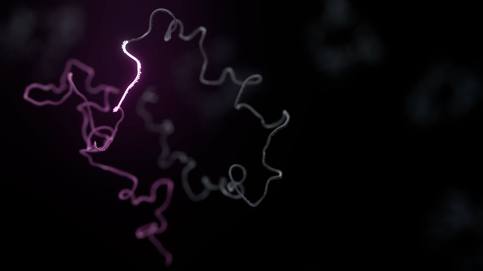 Flyer: cDNA-PCR Sequencing Kits