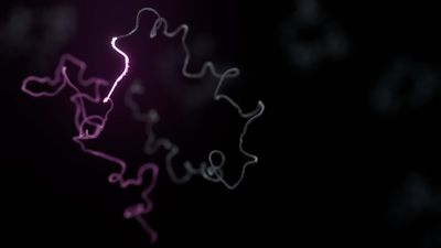 ONT_Transcriptomics_FINAL_STILLS_11