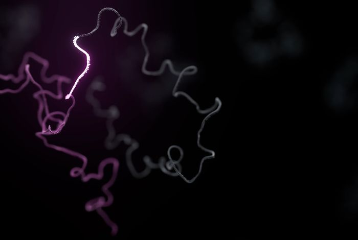 Single-cell transcriptomics with full-length cDNA sequencing provides unique insights into cellular diversity