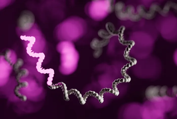 Nanopore sequencing in biopharma research and development: transforming precision medicine and antibody discovery