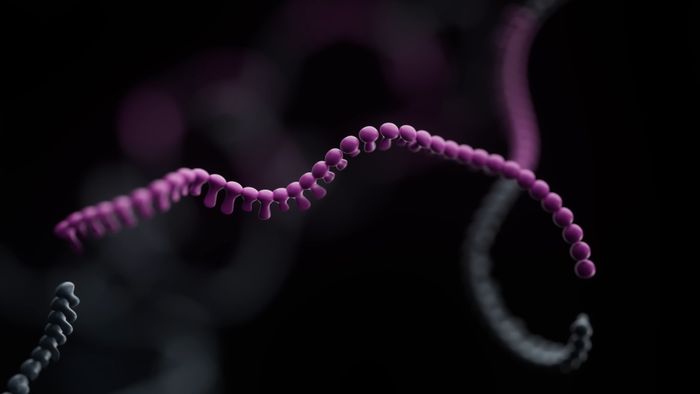 Unlocking the banana pangenome: harnessing genetic diversity