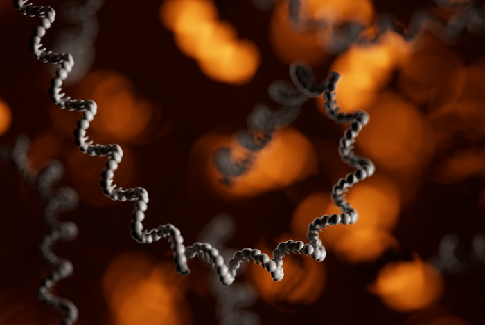 Nanopore-based HLA testing: a rising star driving real-world clinical implementation in pharmacogenomics