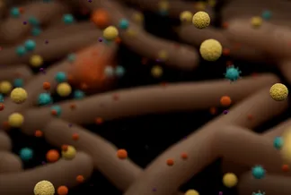 ONT_Microbiology_Metagenomics_STILLS_05