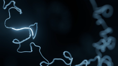 ONT_Microbiology_Plasmids