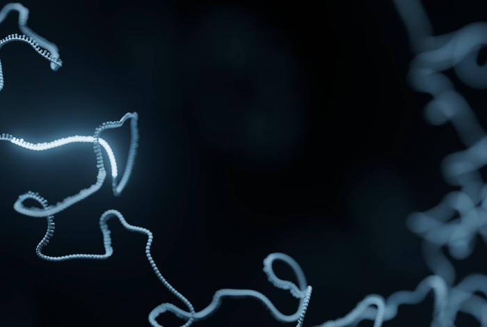 Advancing Biologics production through Nanopore whole-genome sequencing