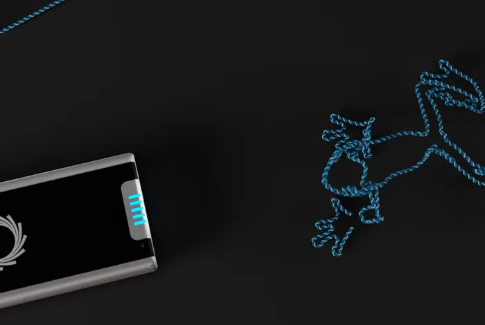 From field to genome: fast, portable SNP and SNPSTR tools for wildlife conservation