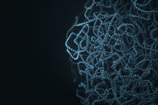 ONT_shorts_Methylation